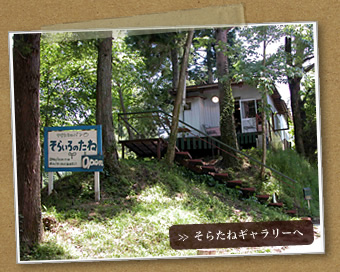 ���炽�˃M�������[��